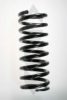 SPIDAN 48171 Coil Spring